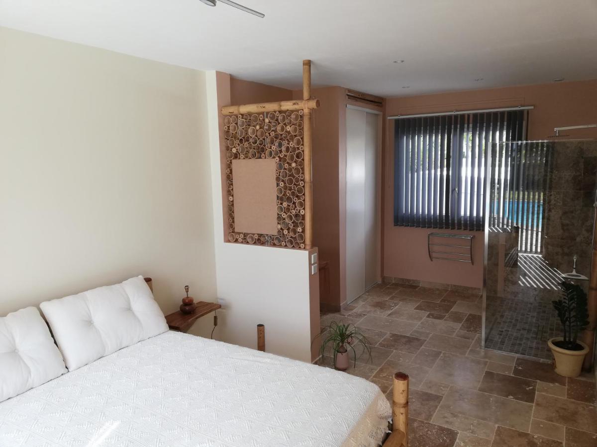 Villa Belle Vue, Chambre Bambous 생피에르 외부 사진